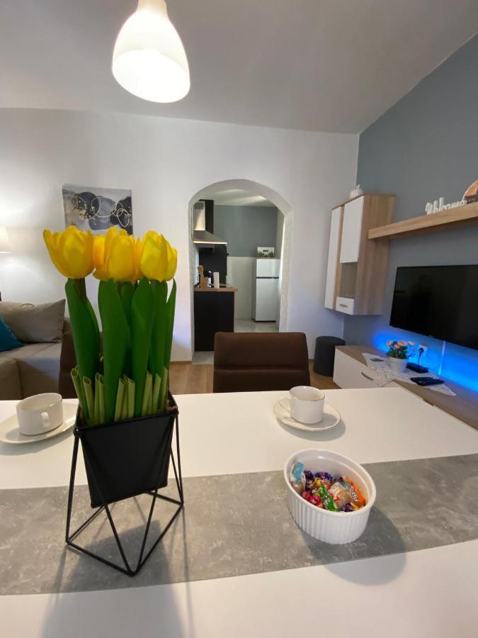 Apartment Dora Zadar Dış mekan fotoğraf