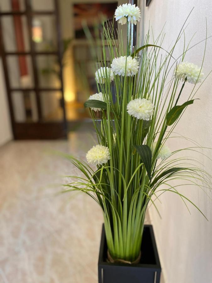 Apartment Dora Zadar Dış mekan fotoğraf