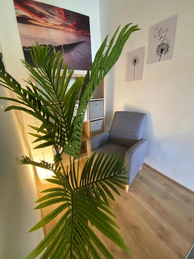 Apartment Dora Zadar Dış mekan fotoğraf
