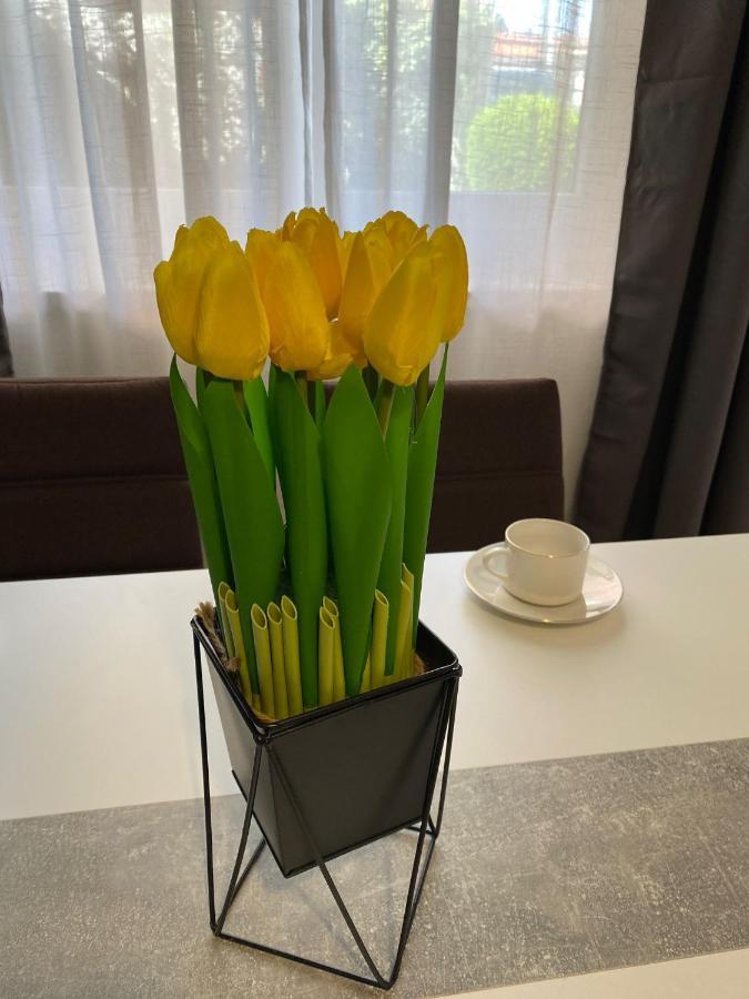 Apartment Dora Zadar Dış mekan fotoğraf